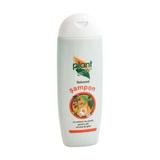 Sampon Sebored Par Normal si Gras Plant Activ, 200 ml