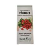 Extract Mladite de Paducel Plantextrakt, 50 ml