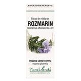 Extract Mladite de Rozmarin Plantextrakt, 50 ml