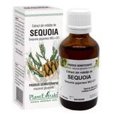 Extract Mladite de Sequoia Plantextrakt, 50 ml