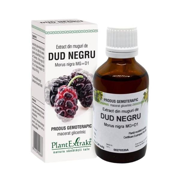 Extract Muguri de Dud Negru Plantextrakt, 50 ml