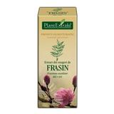Extract Muguri Frasin Plantextrakt, 50 ml