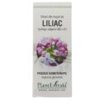 Extract Muguri de Liliac Plantextrakt, 50 ml