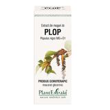 Extract Muguri de Plop Plant Plantextrakt, 50 ml