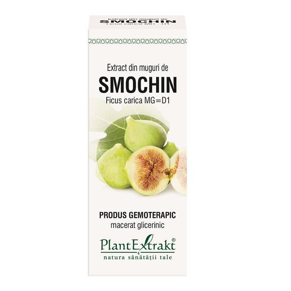 Extract Muguri de Smochin Plantextrakt, 50 ml