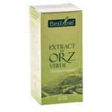Extract Orz Verde Plantextrakt, 120 ml