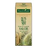 Extract Scoarta Salcie Plantextrakt, 50 ml