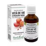 Extract Seminte Vita de Vie Plantextrakt, 50 ml