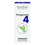 Polygemma Nr 4 Sinusuri Plantextrakt, 30 ml