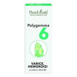 Polygemma Nr 6 Varice si Hemoroizi Plantextrakt, 50 ml