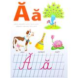 planse-abc-32-planse-editura-dorinta-2.jpg