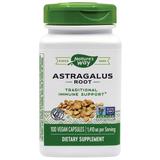 Astragalus Root Secom, 100 capsule