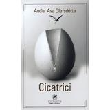 Cicatrici - audur ava olafsdottir