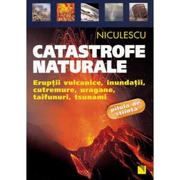 Catastrofe Naturale, editura Niculescu