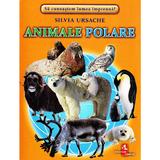 Animale polare - Cartonase - Silvia Ursache, editura Silvius Libris