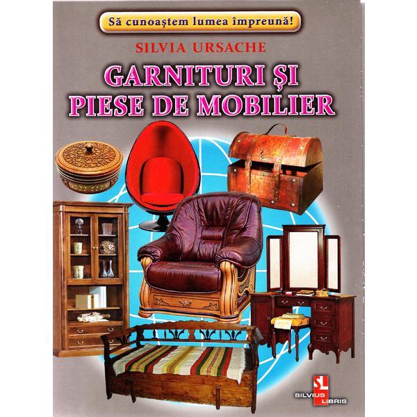 Garnituri si piese de mobilier - Cartonase - Silvia Ursache, editura Silvius Libris