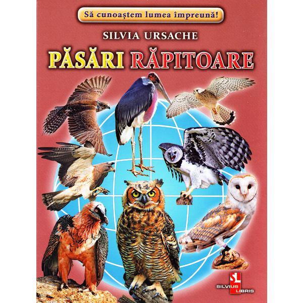 Pasari rapitoare - Cartonase - Silvia Ursache, editura Silvius Libris