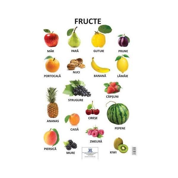 Plansa - Fructe, editura Didactica Publishing House