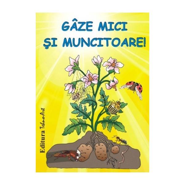 Gaze mici si muncitoare! - jetoane, editura Tehno-art