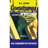 Nu coboriti in pivnita - R. L. Stine, editura Rao