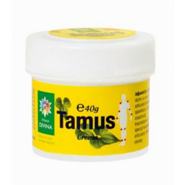 Crema de Tamus Santo Raphael, 40 g