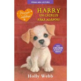 Harry, un catelus fara adapost - Holly Webb, editura Litera