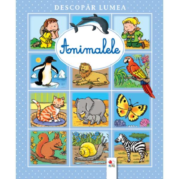 Descopar lumea. Animalele - Emilie Beaumont, Sylvie Michelet, editura Litera