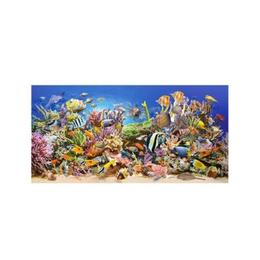 Puzzle Castorland - 4000 de piese - Underwater Life