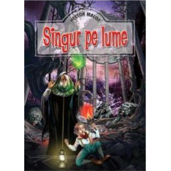 Singur pe lume - Hector Malot, editura Regis