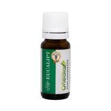 Ulei Odorizant Eucalipt Onedia, 10 ml