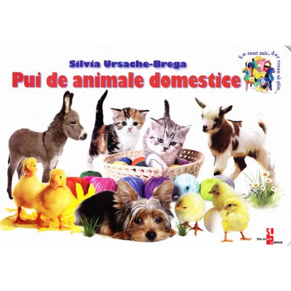 Pui de animale domestice - Silvia Ursache-Brega, editura Silvius Libris