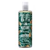 Sampon pentru Barbati pentru Toate Tipurile de Par cu Cedru Albastru Faith in Nature, 400ml