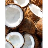balsam-de-par-cu-cocos-shikakai-amp-aloe-vera-khadi-ayurvedic-nourishing-conditioner-coconut-shikakai-200-ml-1717144605941-1.jpg