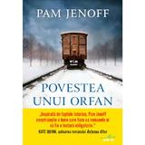 Povestea unui orfan - Pam Jenoff, editura Litera