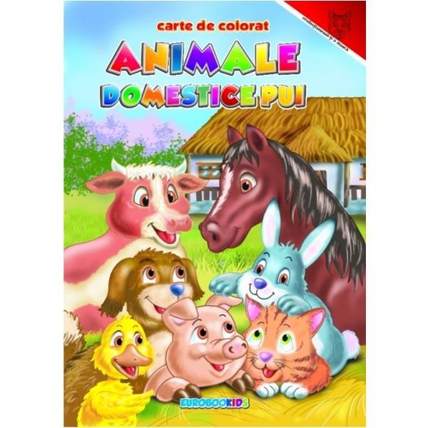 Animale domestice pui - Carte de colorat, editura Eurobookids