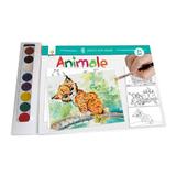 Primele mele picturi: Animale 3+ ani, editura Gama