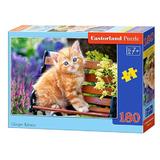 Puzzle 180 Castorland - Ginger Kitten