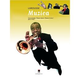 Muzica - Enciclopedia pentru tineri, editura Rao