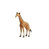 Pui de Girafa L - Animal figurina