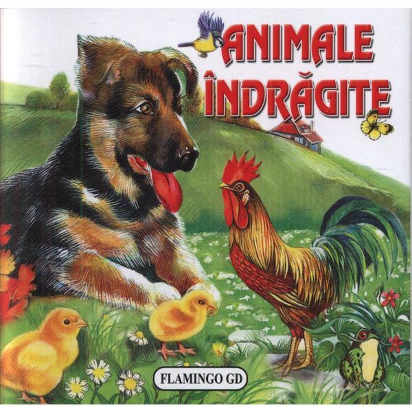 Animale indragite - Pliant, editura Flamingo