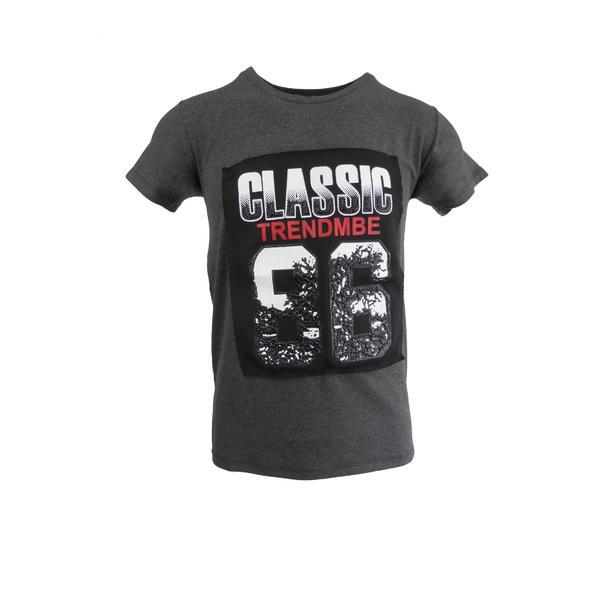 Tricou barbat, gri Classic 86, S