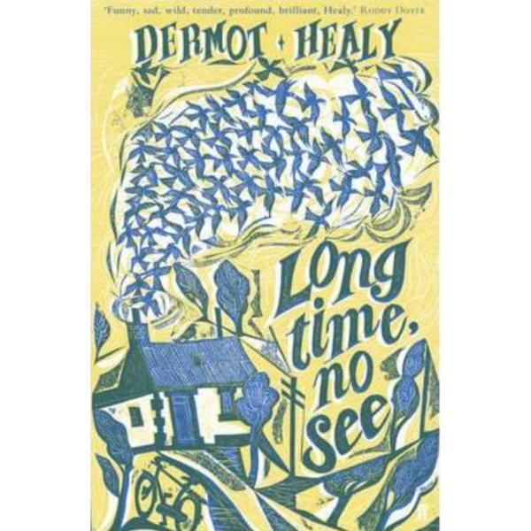 Long Time, No See - Dermot Healy, editura Faber & Faber