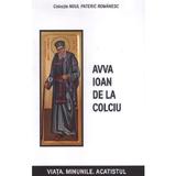 Avva Ioan de la Colciu - Danion Vasile, editura Areopag