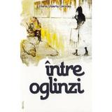 Intre oglinzi - Viorel Valeriu Corocea, editura Rovimed