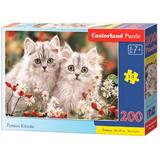 Puzzle 200. Persian Kittens