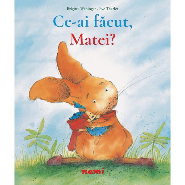 Ce-ai facut, Matei! - Brigitte Weninger, Eve Tharlet, editura Nemira