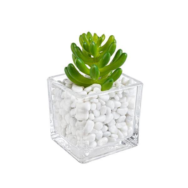 Planta artificiala suculenta in ghiveci sticla decorat cu piatra alba 5 cm x 5 cm x 10 h - Decorer