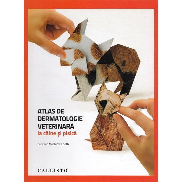 Atlas de dermatologie veterinara la caine si pisica - Gustavo Machicote Goth, editura Callisto