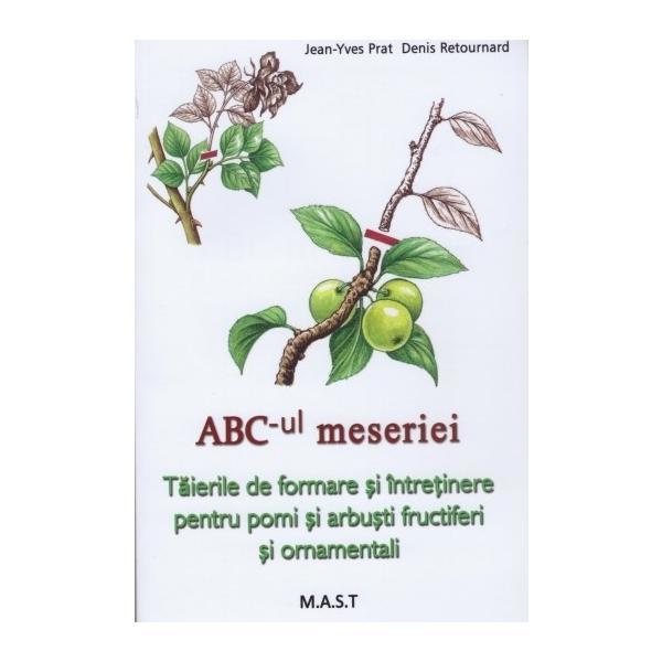 Abc-ul meseriei - Jean-Yves Prat, editura Mast