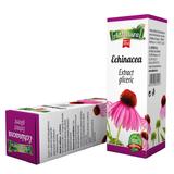 Extract Gliceric de Echinacea AdNatura, 50 ml